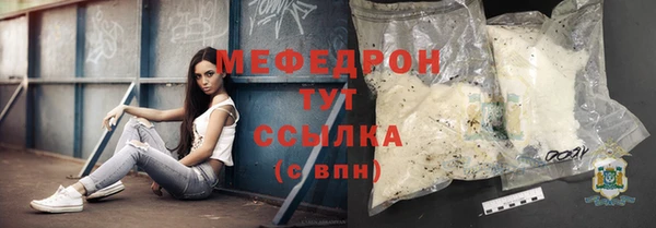 стафф Ельня