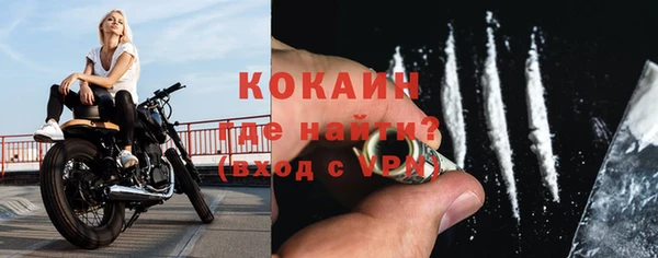 стафф Ельня