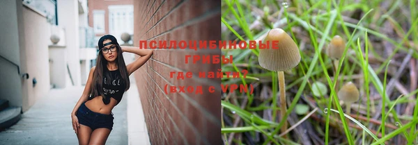 стаф Елизово