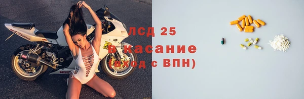 стафф Ельня