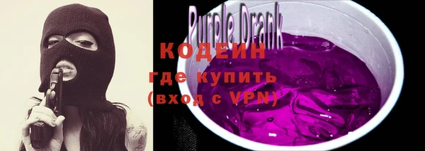 стафф Ельня