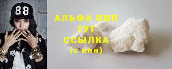 ГАЛЛЮЦИНОГЕННЫЕ ГРИБЫ Елабуга