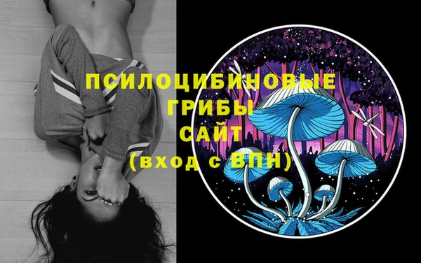стафф Ельня