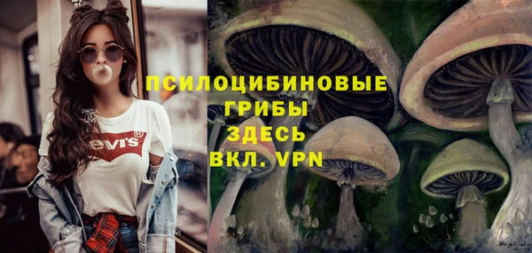 ГАЛЛЮЦИНОГЕННЫЕ ГРИБЫ Елабуга
