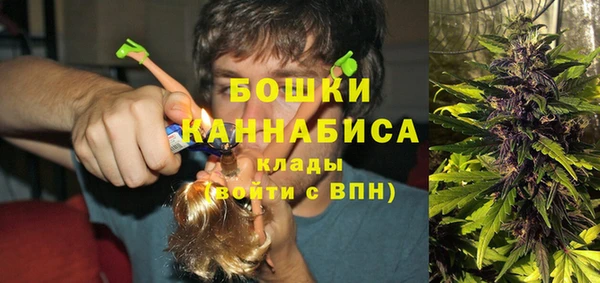 ГАЛЛЮЦИНОГЕННЫЕ ГРИБЫ Елабуга