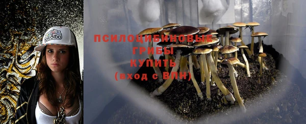 стаф Елизово