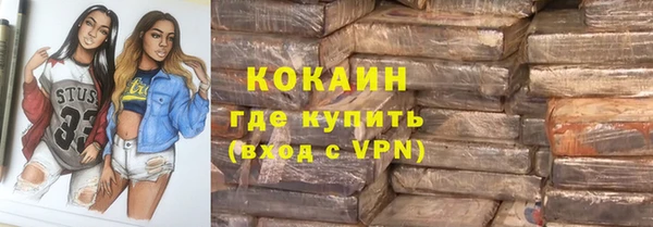 стаф Елизово