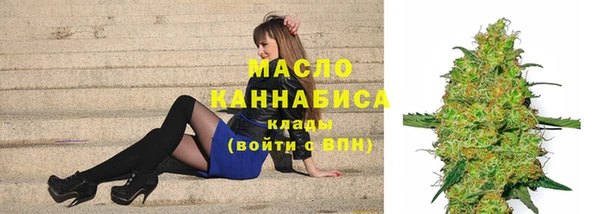 стаф Елизово