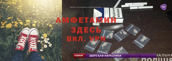 ГАЛЛЮЦИНОГЕННЫЕ ГРИБЫ Елабуга