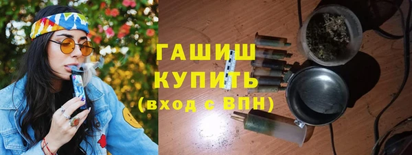 стаф Елизово