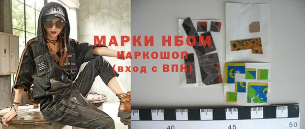 стафф Ельня
