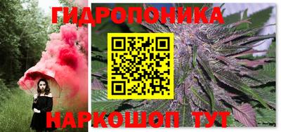 прущие грибы Конаково