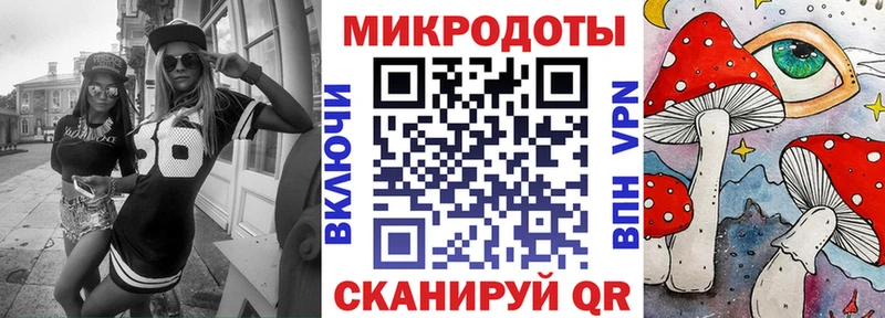 где найти   Сальск  Псилоцибиновые грибы Psilocybine cubensis 