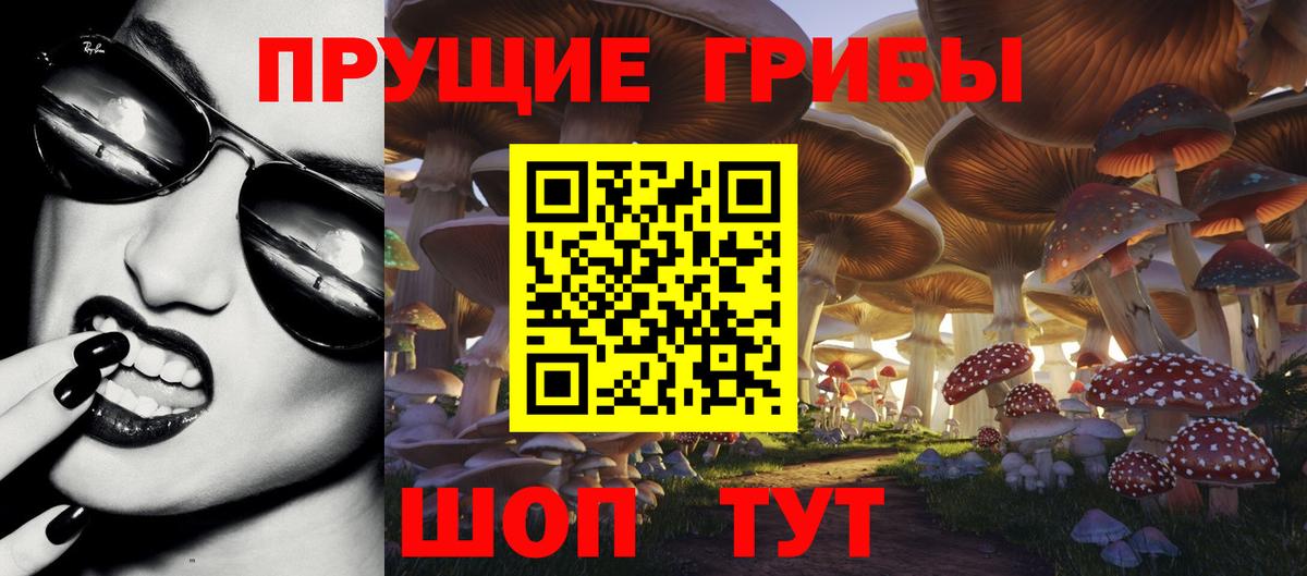 Галлюциногенные грибы Magic Shrooms Сальск