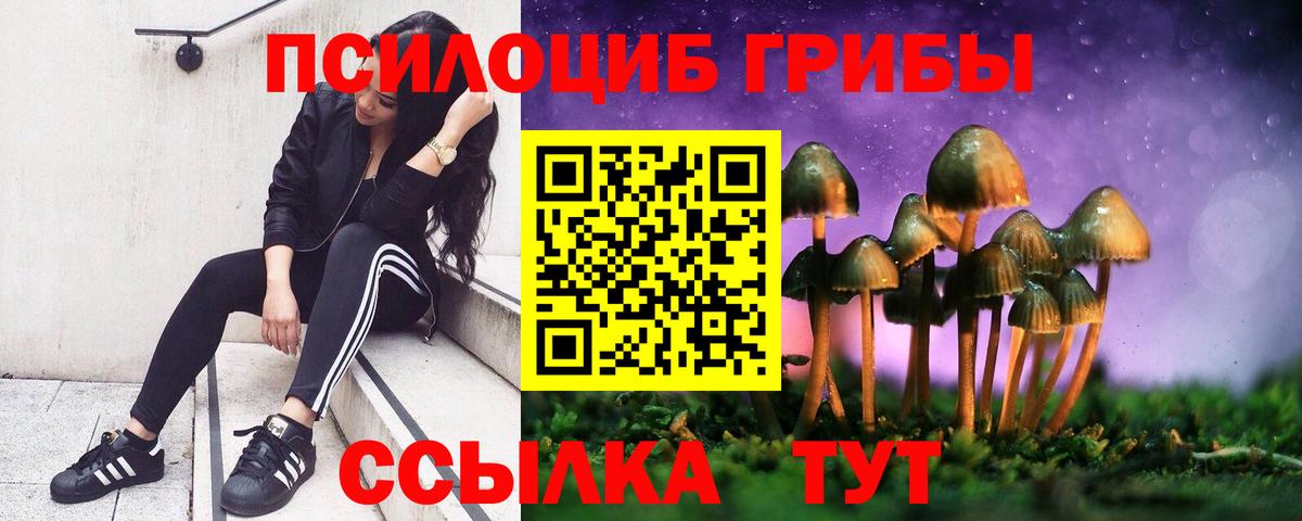 Псилоцибиновые грибы GOLDEN TEACHER  Псилоцибиновые грибы Cubensis  Вход с VPN  Сальск 