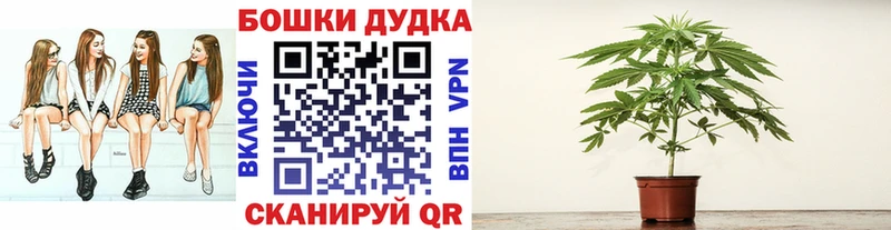сколько стоит  Сальск  Бошки марихуана VHQ 
